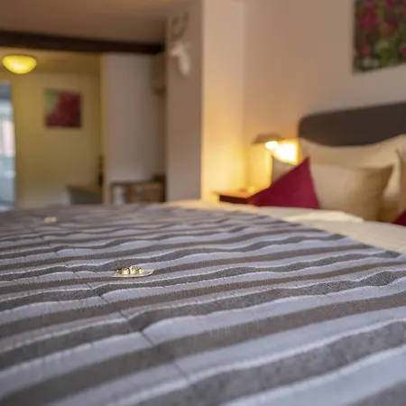 Hotel Goldener Falke