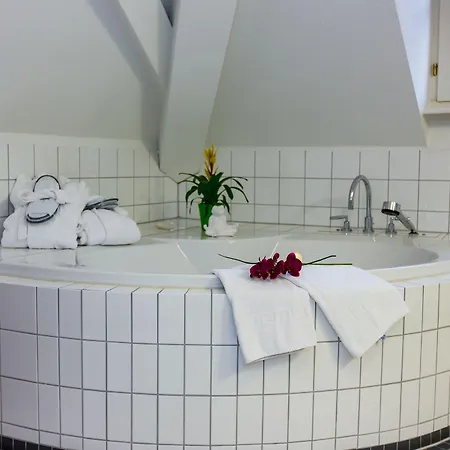 Goldener Falke Hotel 3*