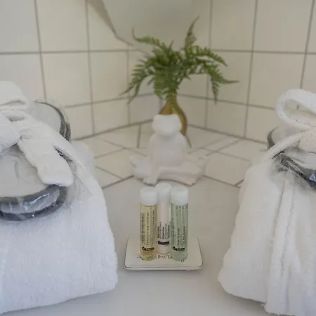 Hotel Goldener Falke