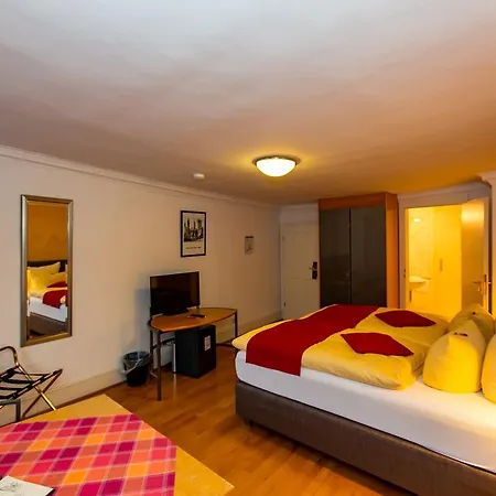 Hotel Goldener Falke Heidelberg
