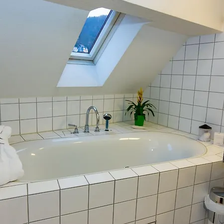 Goldener Falke Hotel Heidelberg